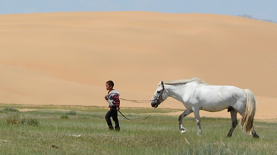 Abenteuer Mongolei