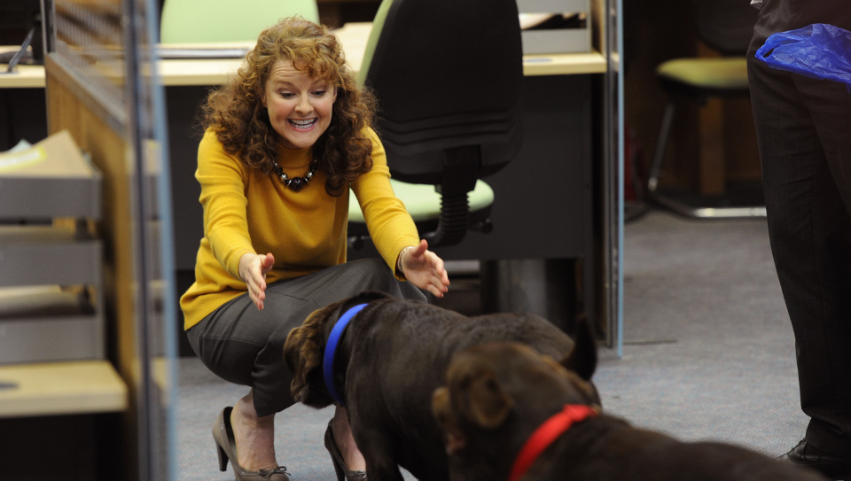 Trish (Sarah Hadland) freut sich über die Hunde im Büro.