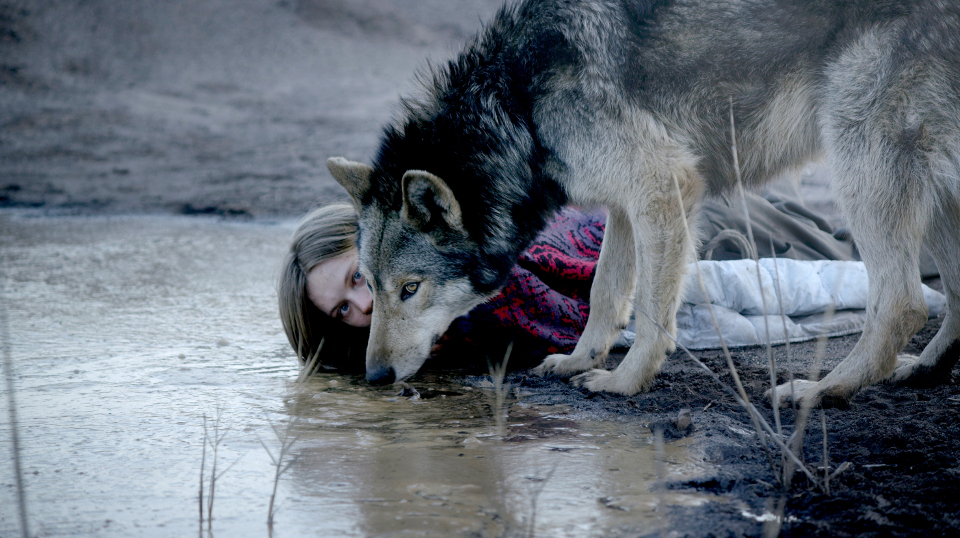 Wild | Bildquelle: WDR/Heimatfilm Wild