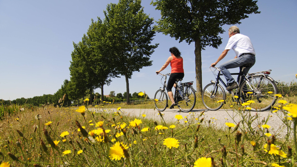 Fahrradfahrer