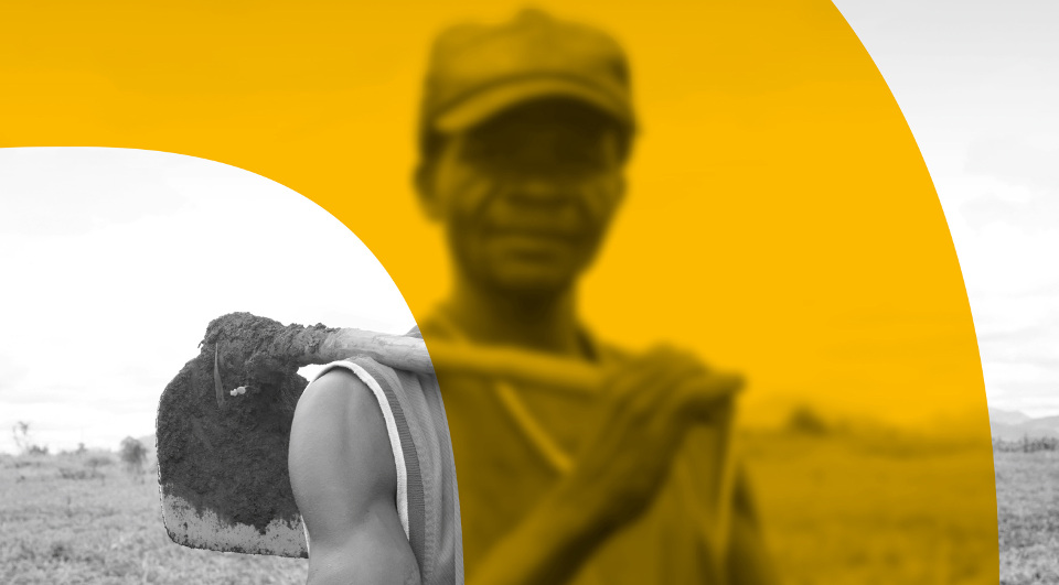 Dok 5 - Das Feature | Arme Bauern und globales Business