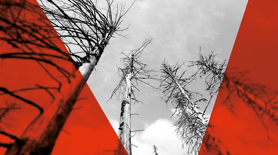 Visual ARD radiofeature | Bildquelle: WDR/dpa/Julian Stratenschulte Visual ARD radiofeature