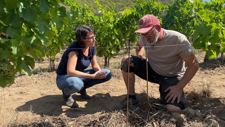 Autorin Friederike Hofmann (l) mit Winzer Nicolas Mirouze. | Bildquelle: WDR Autorin Friederike Hofmann (l) mit Winzer Nicolas Mirouze.
