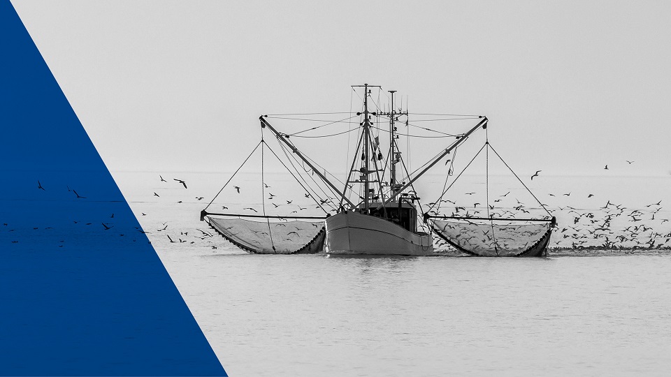 ARD radiofeature "Kampf an der Nordsee" | Bildquelle: WDR/picture alliance/Zoonar/Conny Pokorny ARD radiofeature "Kampf an der Nordsee"