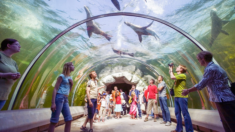 Zoom Erlebniswelt