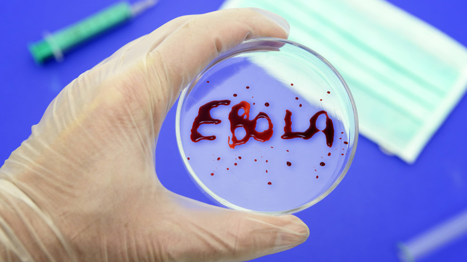 Ebola | Bildquelle: imago/Christian Ohde Ebola