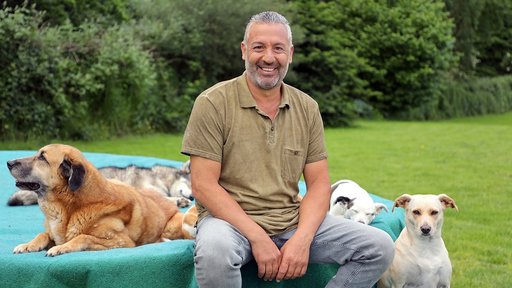 Hunde Verstehen Mit Andreas Ohligschlager Folge 2 Presselounge Wdr