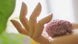 Puppenhand mit einer Miniaturausfertigung eines Gehirns