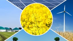symbolbild erneuerbare energien | Bildquelle: WDR/imago symbolbild erneuerbare energien