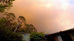 Buschbrände in Australien | Bildquelle: WDR Buschbrände in Australien