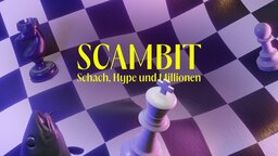 Keyvisual scambit | Bildquelle: funk Keyvisual scambit