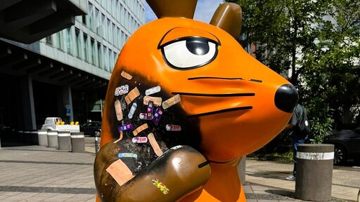 Nach Brand: Die Maus geht in Kur
