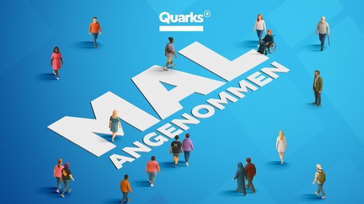 Quarks Mal angenommen